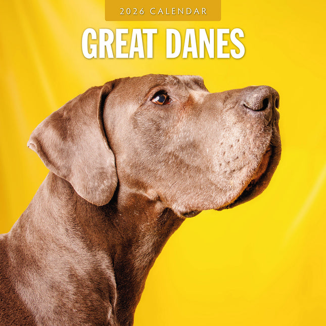 Great Danes 2026 Premium Square Wall Calendar
