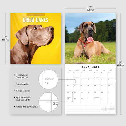 Great Danes 2026 Premium Square Wall Calendar