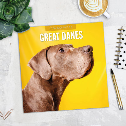 Great Danes 2026 Premium Square Wall Calendar