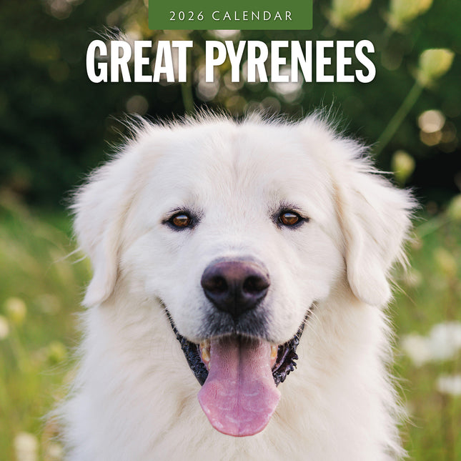 Great Pyrenees 2026 Premium Square Wall Calendar