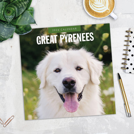 Great Pyrenees 2026 Premium Square Wall Calendar