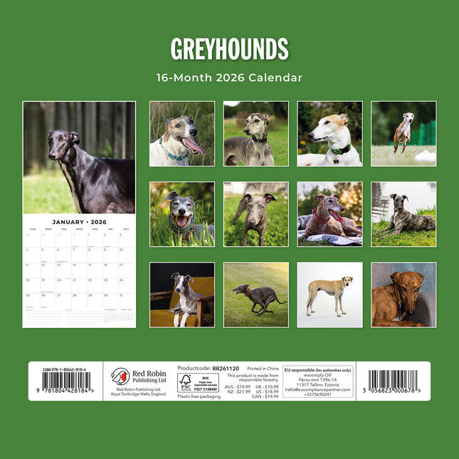 Greyhounds 2026 Premium Square Wall Calendar