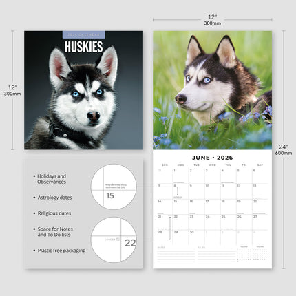 Huskies 2026 Premium Square Wall Calendar