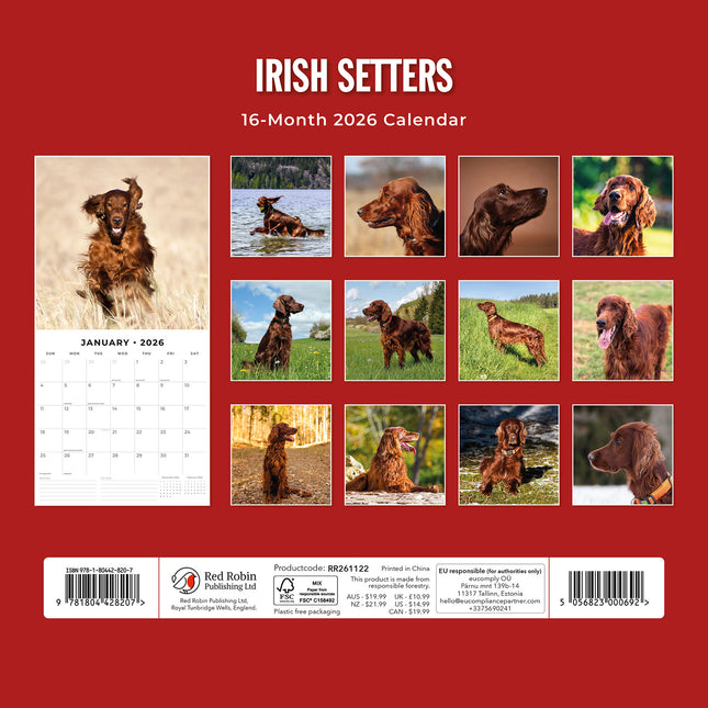 Irish Setters 2026 Premium Square Wall Calendar