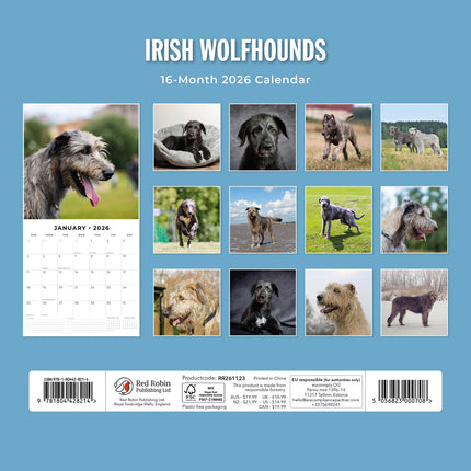 Irish Wolf Hounds 2026 Premium Square Wall Calendar