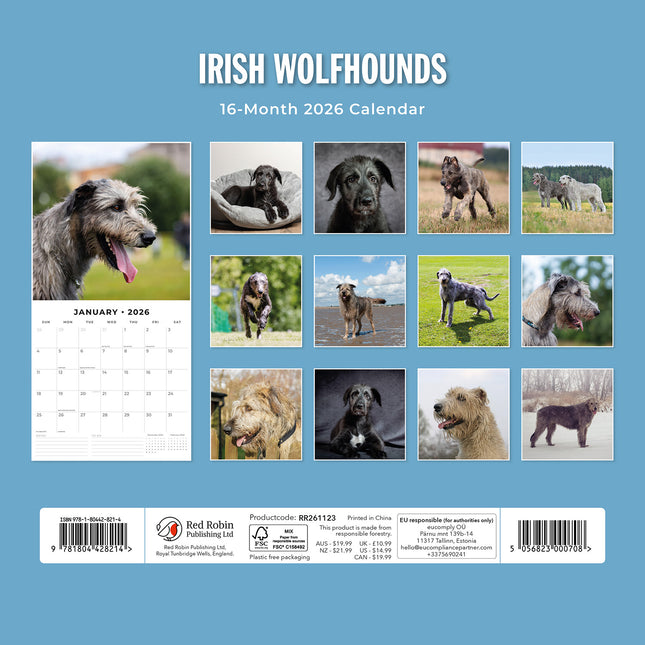 Irish Wolf Hounds 2026 Premium Square Wall Calendar