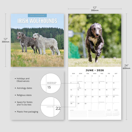 Irish Wolf Hounds 2026 Premium Square Wall Calendar