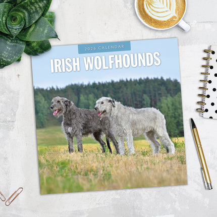 Irish Wolf Hounds 2026 Premium Square Wall Calendar