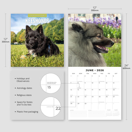 Keeshonds 2026 Premium Square Wall Calendar