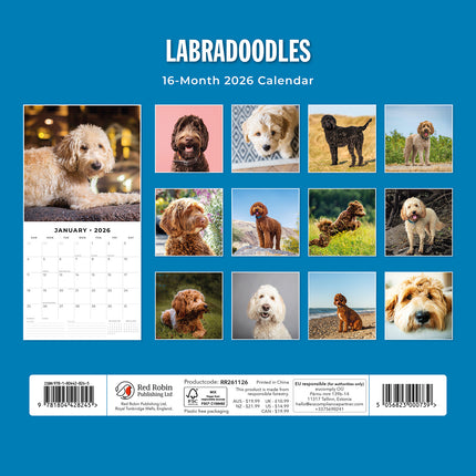 Labradoodles 2026 Premium Square Wall Calendar