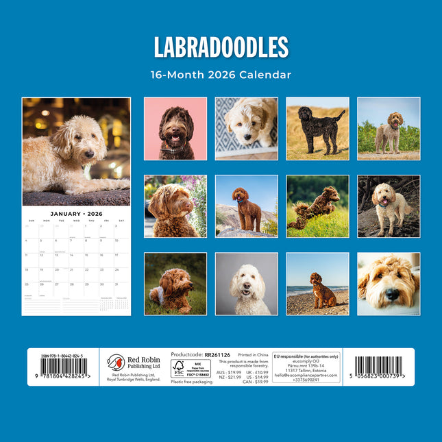 Labradoodles 2026 Premium Square Wall Calendar