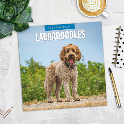 Labradoodles 2026 Premium Square Wall Calendar