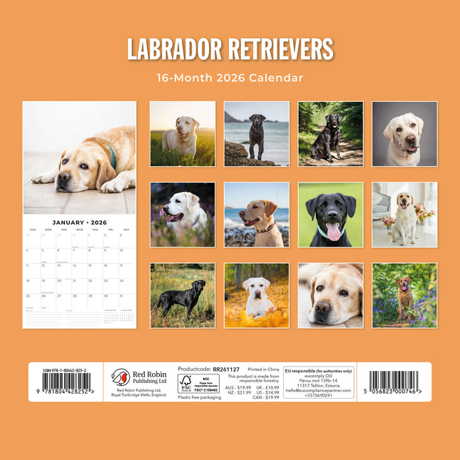 Labrador Retrievers 2026 Premium Square Wall Calendar
