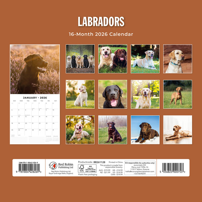 Labradors 2026 Premium Square Wall Calendar