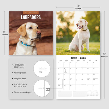 Labradors 2026 Premium Square Wall Calendar
