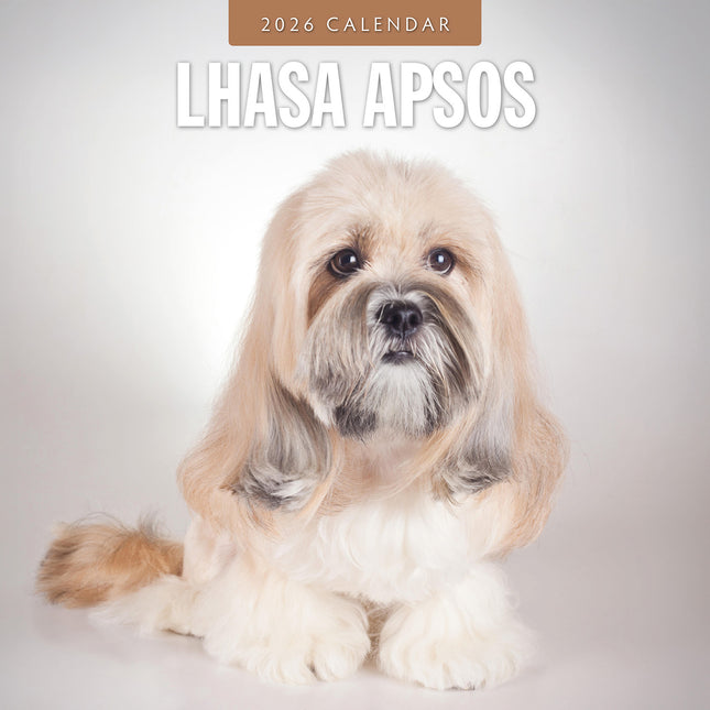 Lhasa Apsos 2026 Premium Square Wall Calendar