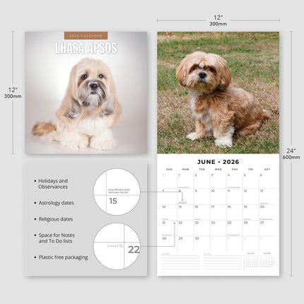 Lhasa Apsos 2026 Premium Square Wall Calendar