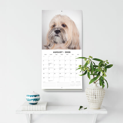 Lhasa Apsos 2026 Premium Square Wall Calendar