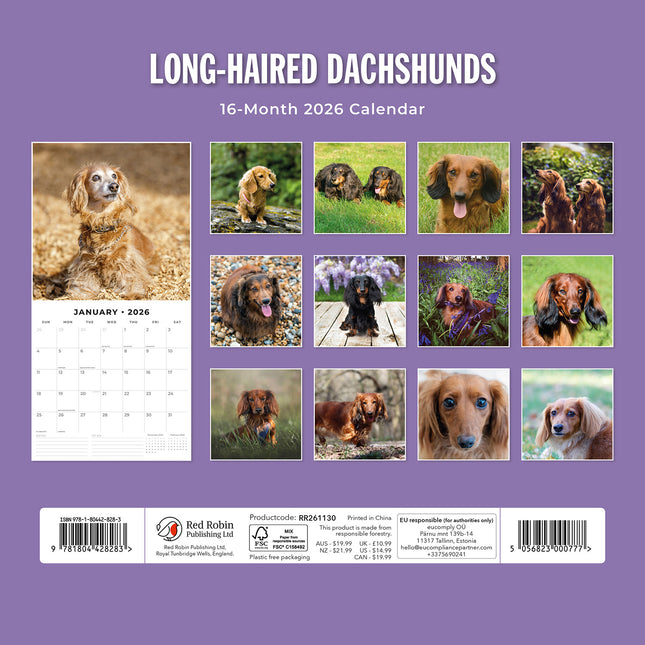 Long Haired Dachshunds 2026 Premium Square Wall Calendar