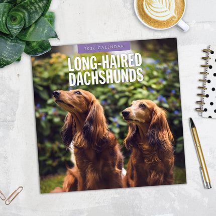 Long Haired Dachshunds 2026 Premium Square Wall Calendar
