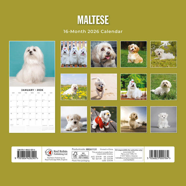 Maltese 2026 Premium Square Wall Calendar