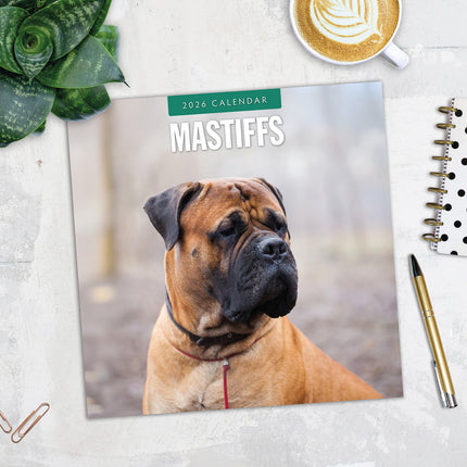 Mastiffs 2026 Premium Square Wall Calendar