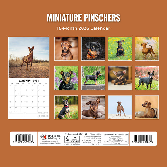 Miniature Pinschers 2026 Premium Square Wall Calendar