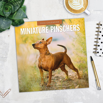 Miniature Pinschers 2026 Premium Square Wall Calendar