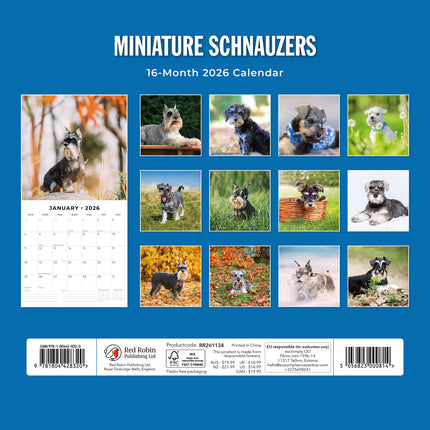 Miniature Schnauzer  2026 Premium Square Wall Calendar