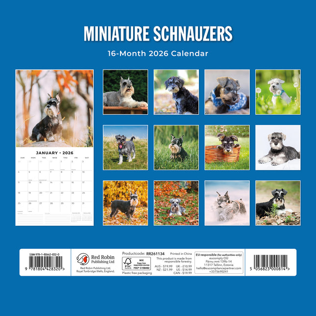 Miniature Schnauzer  2026 Premium Square Wall Calendar