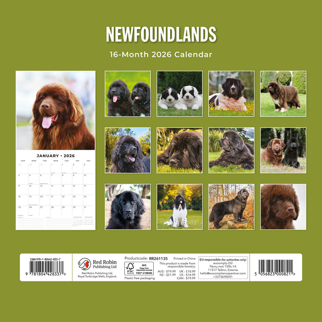 Newfoundlands 2026 Premium Square Wall Calendar