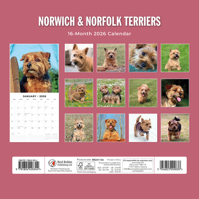 Norwich And Norfolk Terriers 2026 Premium Square Wall Calendar