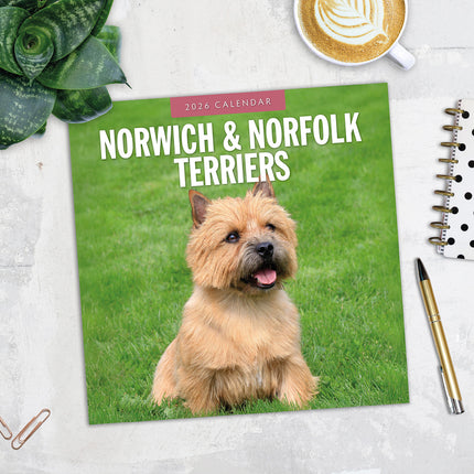 Norwich And Norfolk Terriers 2026 Premium Square Wall Calendar
