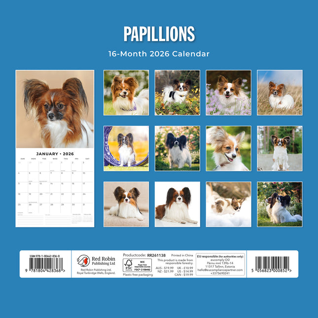 Papillions 2026 Premium Square Wall Calendar