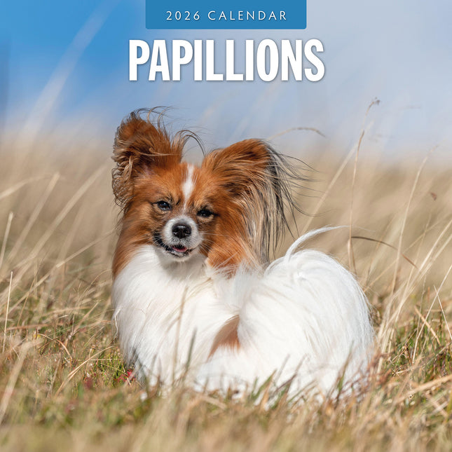 Papillions 2026 Premium Square Wall Calendar