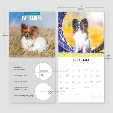 Papillions 2026 Premium Square Wall Calendar