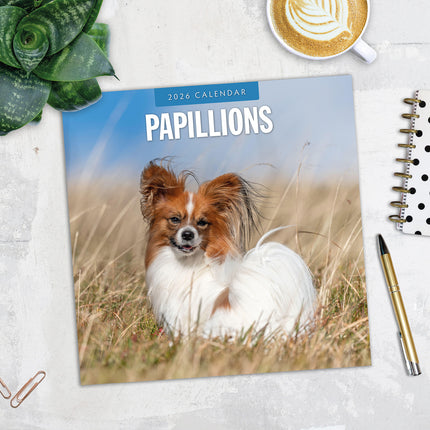 Papillions 2026 Premium Square Wall Calendar