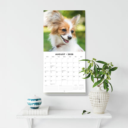 Papillions 2026 Premium Square Wall Calendar