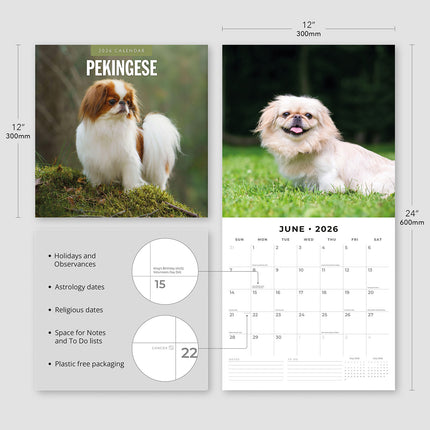 Pekingese 2026 Premium Square Wall Calendar