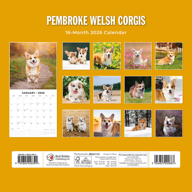 Pembroke Welsh Corgis 2026 Premium Square Wall Calendar