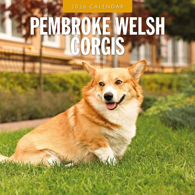 Pembroke Welsh Corgis 2026 Premium Square Wall Calendar