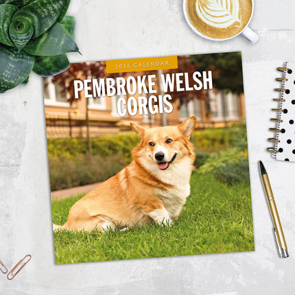Pembroke Welsh Corgis 2026 Premium Square Wall Calendar