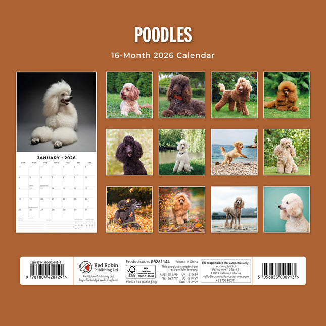 Poodles 2026 Premium Square Wall Calendar