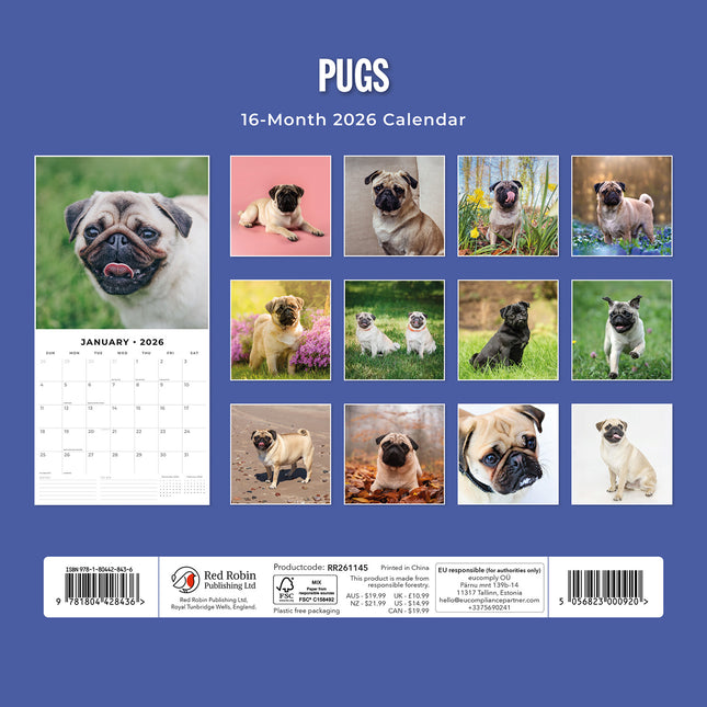 Pugs 2026 Premium Square Wall Calendar