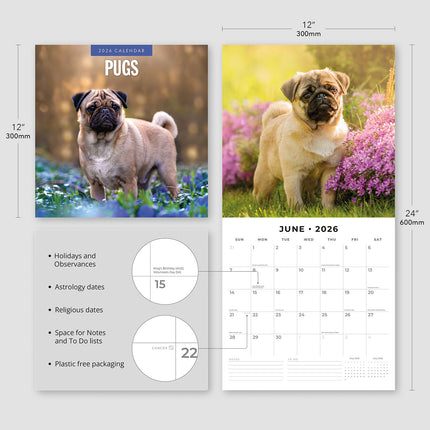 Pugs 2026 Premium Square Wall Calendar