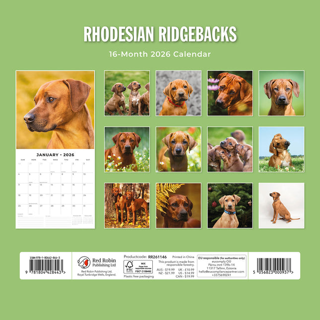 Rhodesian Ridgebacks 2026 Premium Square Wall Calendar