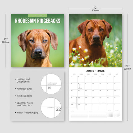 Rhodesian Ridgebacks 2026 Premium Square Wall Calendar