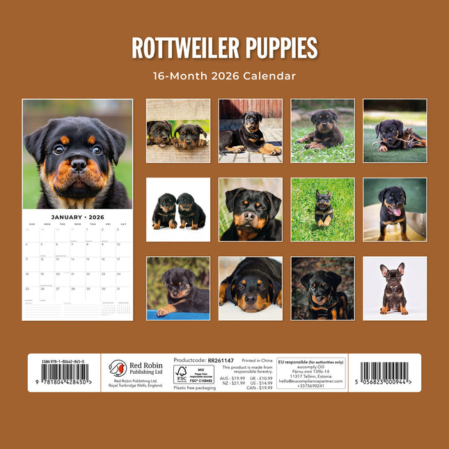 Rottweiler Puppies 2026 Premium Square Wall Calendar