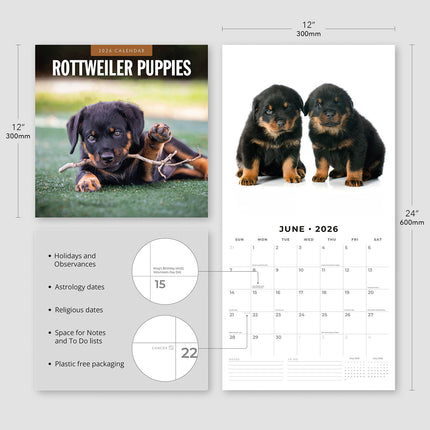 Rottweiler Puppies 2026 Premium Square Wall Calendar