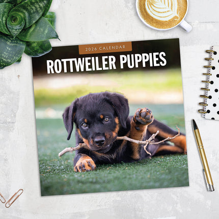 Rottweiler Puppies 2026 Premium Square Wall Calendar